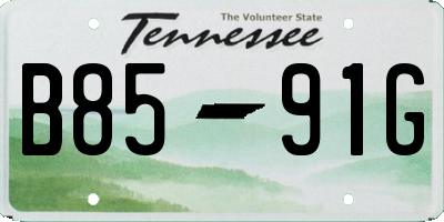 TN license plate B8591G