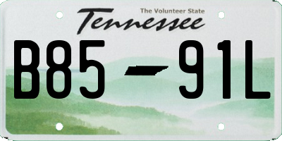 TN license plate B8591L