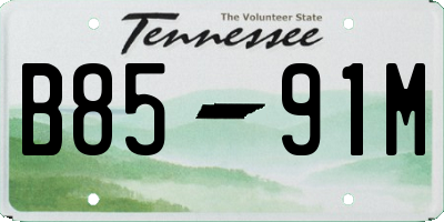 TN license plate B8591M