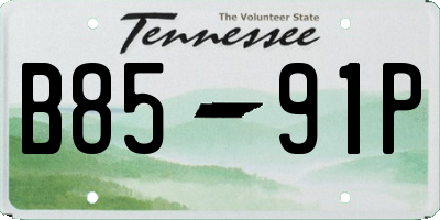 TN license plate B8591P