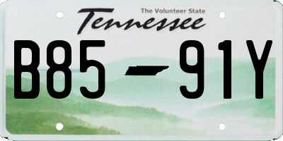TN license plate B8591Y