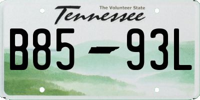TN license plate B8593L