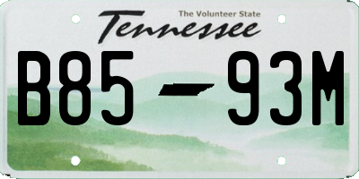 TN license plate B8593M