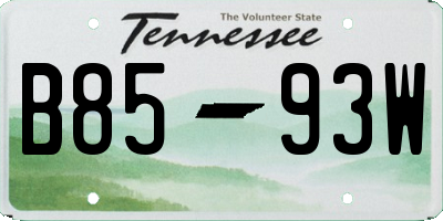 TN license plate B8593W