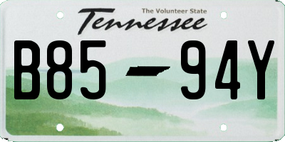 TN license plate B8594Y