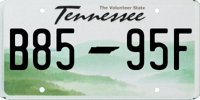 TN license plate B8595F