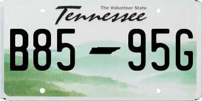 TN license plate B8595G