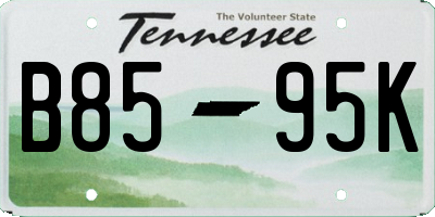 TN license plate B8595K