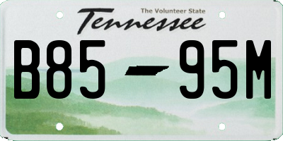 TN license plate B8595M