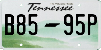 TN license plate B8595P
