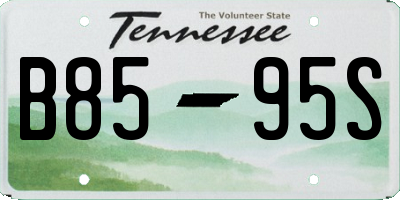TN license plate B8595S