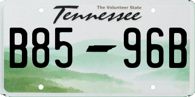 TN license plate B8596B