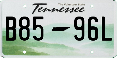 TN license plate B8596L