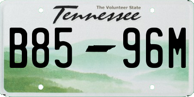 TN license plate B8596M