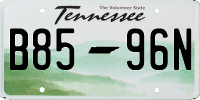TN license plate B8596N