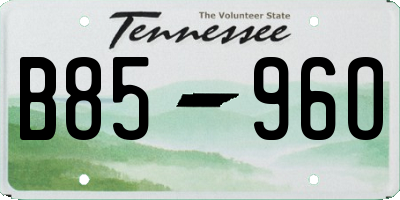 TN license plate B8596O
