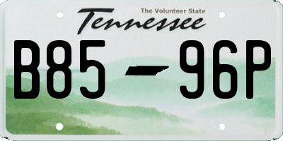 TN license plate B8596P