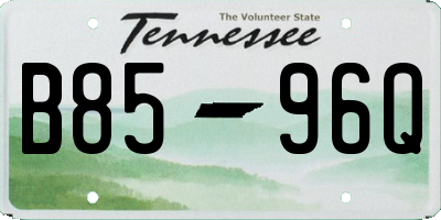 TN license plate B8596Q