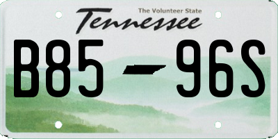 TN license plate B8596S