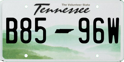 TN license plate B8596W