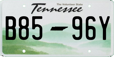 TN license plate B8596Y