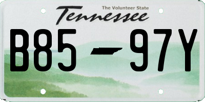 TN license plate B8597Y