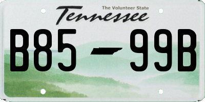 TN license plate B8599B