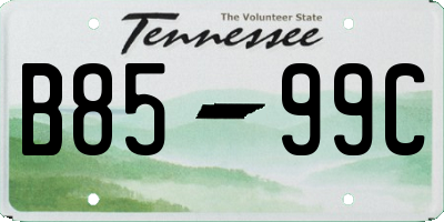 TN license plate B8599C