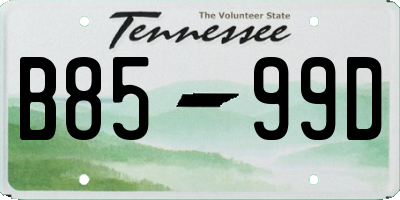 TN license plate B8599D