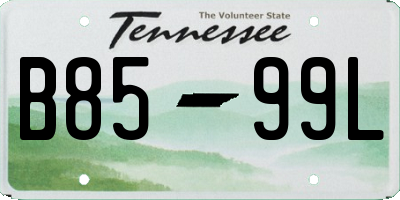 TN license plate B8599L