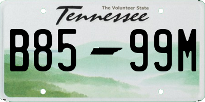 TN license plate B8599M