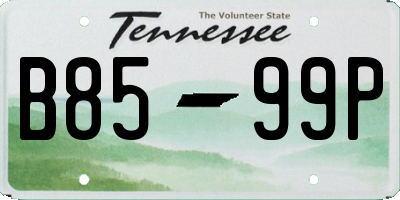 TN license plate B8599P