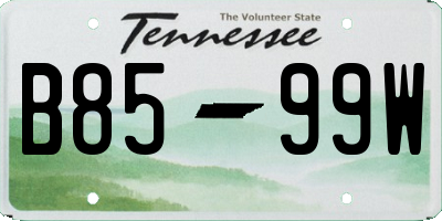 TN license plate B8599W