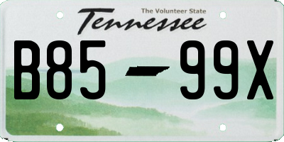 TN license plate B8599X