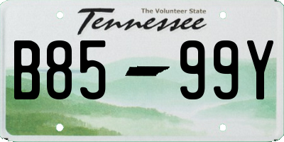 TN license plate B8599Y