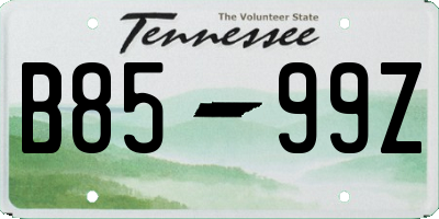 TN license plate B8599Z
