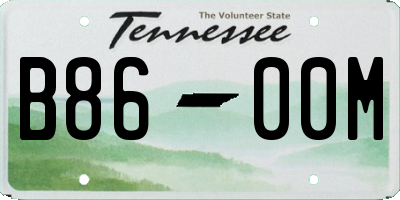 TN license plate B8600M
