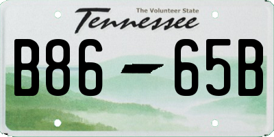 TN license plate B8665B