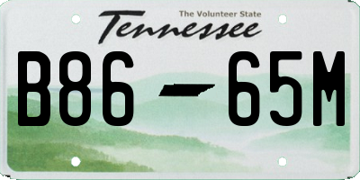 TN license plate B8665M