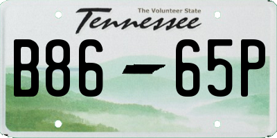 TN license plate B8665P