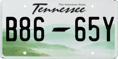 TN license plate B8665Y