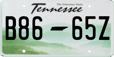 TN license plate B8665Z