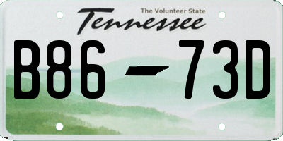 TN license plate B8673D