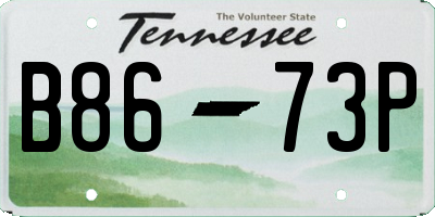 TN license plate B8673P