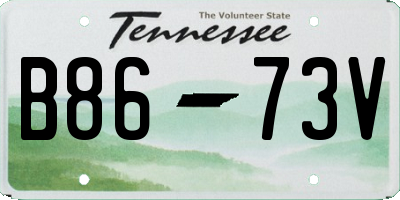 TN license plate B8673V