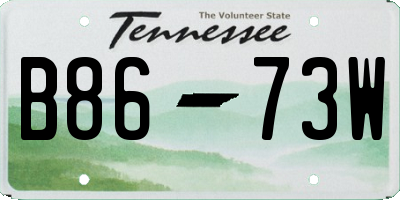 TN license plate B8673W