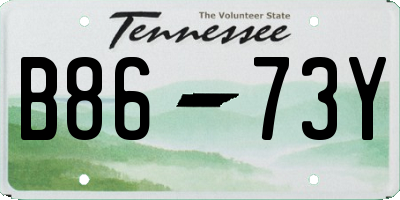 TN license plate B8673Y