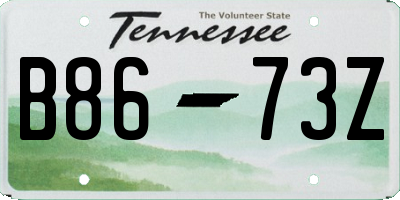 TN license plate B8673Z