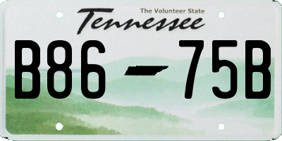 TN license plate B8675B