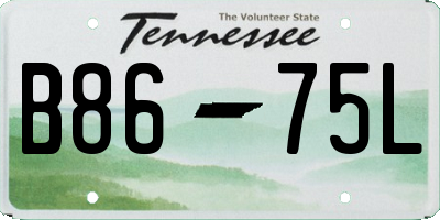 TN license plate B8675L